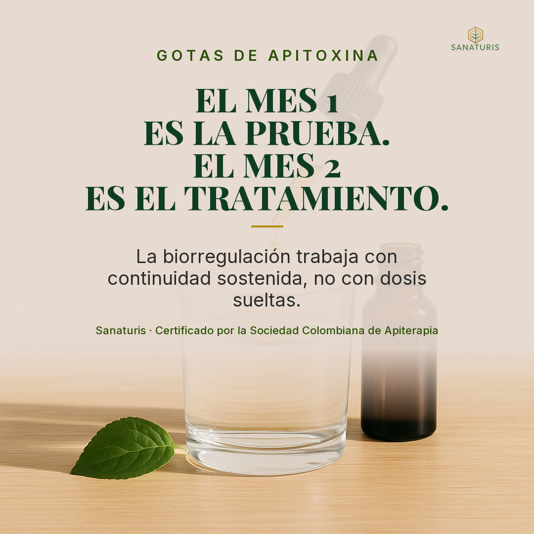 Las gotas de apitoxina: el mes 2 es donde empieza lo que importa